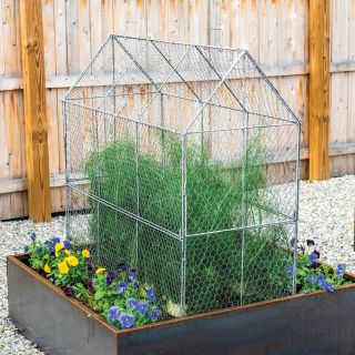 Tall Chicken Wire Crop Coop Thumbnail